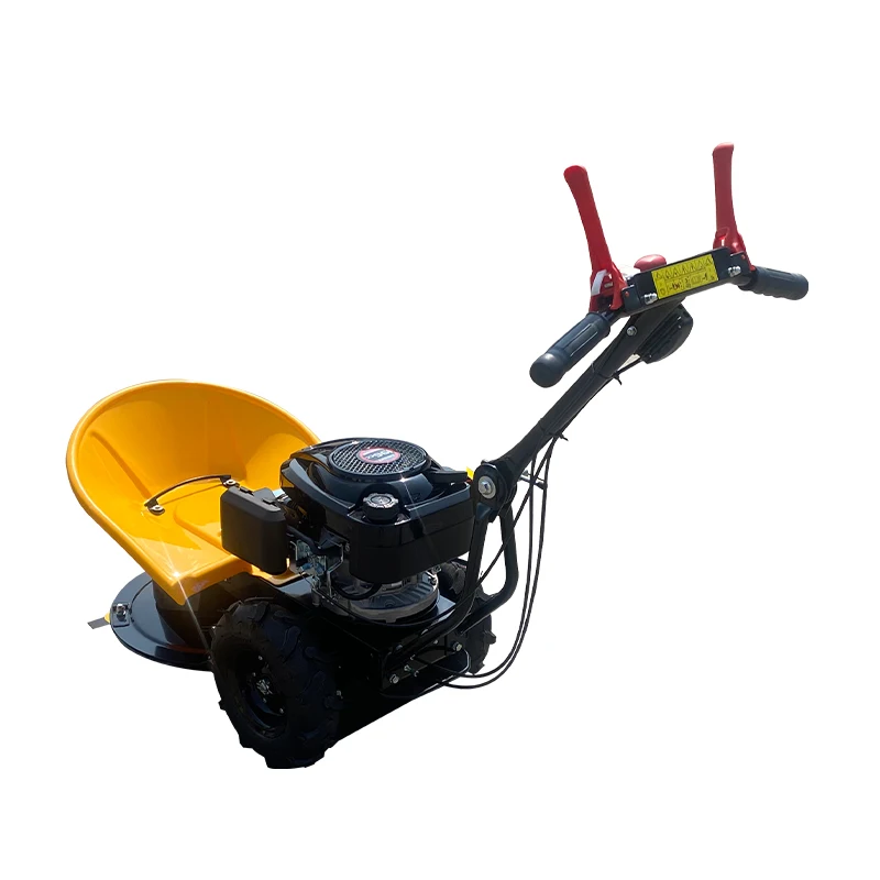 China Supply Garden Landscaping Cordless Portable Gasoline Remote Lawn Mower For Grass Cutting