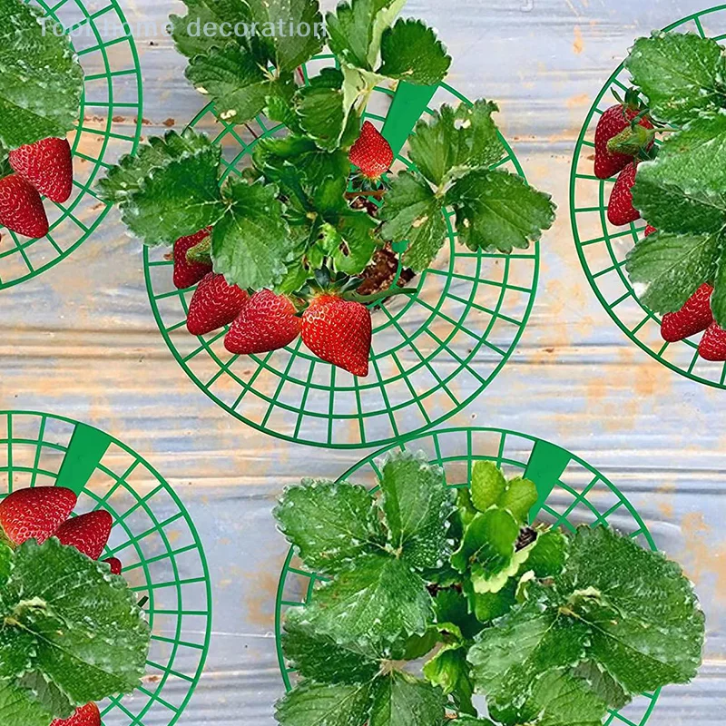 1/5pcs Strawberry Prop System with 4 Stable Legs; Ensures Clean Berries Farming Equipment Strawberry Growth Aid