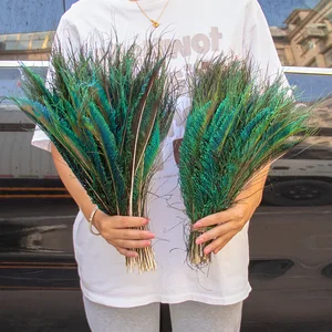 أعلى 5 مبيعات مزهرية ريشة الطاووس - No3