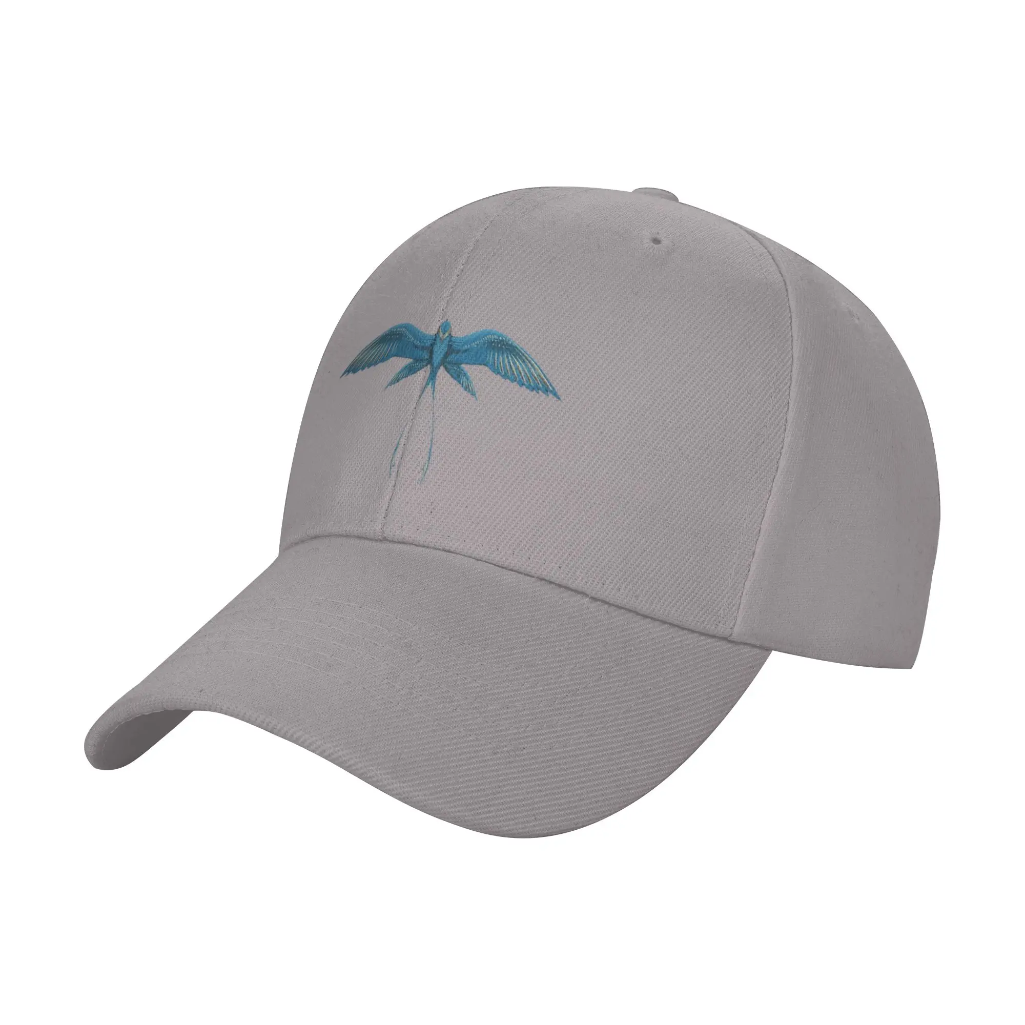 Hot Sale Tomorrow 2023-24 Festival Baseball Cap  Hiphop Sport Cap  Casual Dating Sport Cap