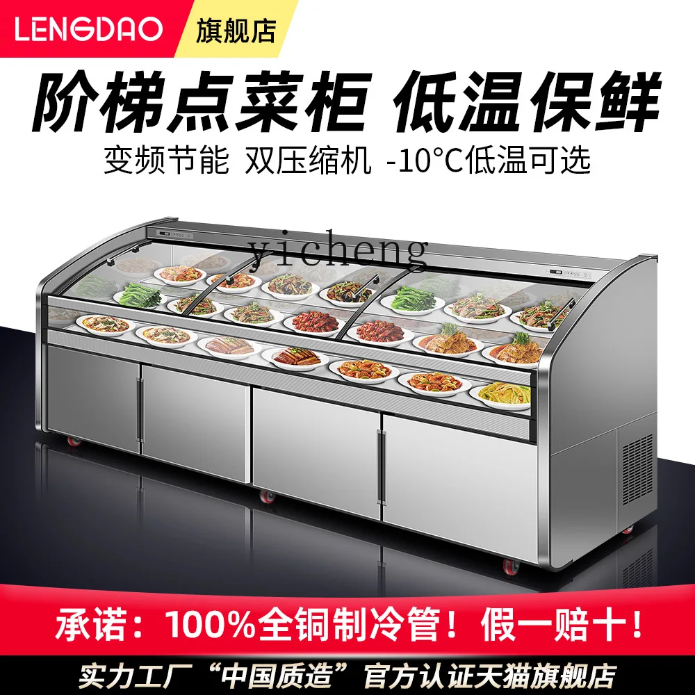 ZS carte cabinet BBQ fried skewers vegetable display cabinet refrigerated freezer