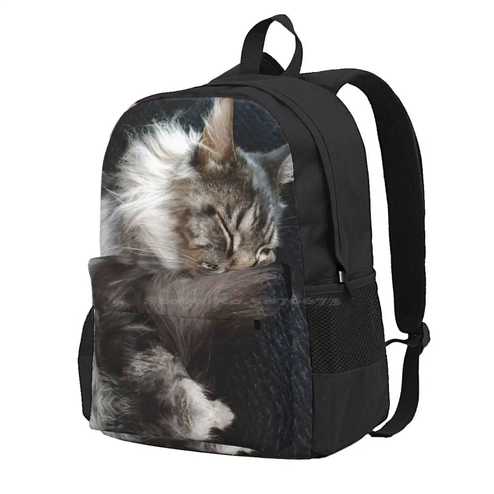 Maine Coon Cat Hot Sale Schoolbag Backpack Fashion Bags Maine Coon Cat Animal Cornishphotos Deb Vincent