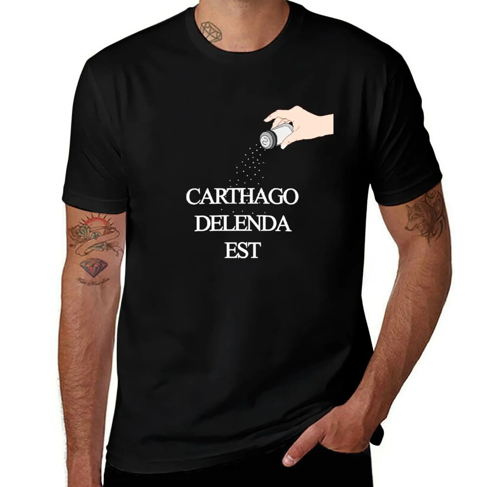 

Carthago Delenda Est T-Shirt t shirts for man cotton funny t shirt man designer cotton t shirt man T-shirt