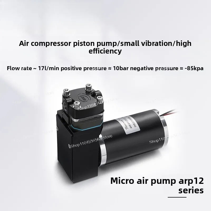 Swing Piston Miniature Air Pump ARP12DC12/24 - For Bubble Water Level Gauge, FRC Robot & Vacuum