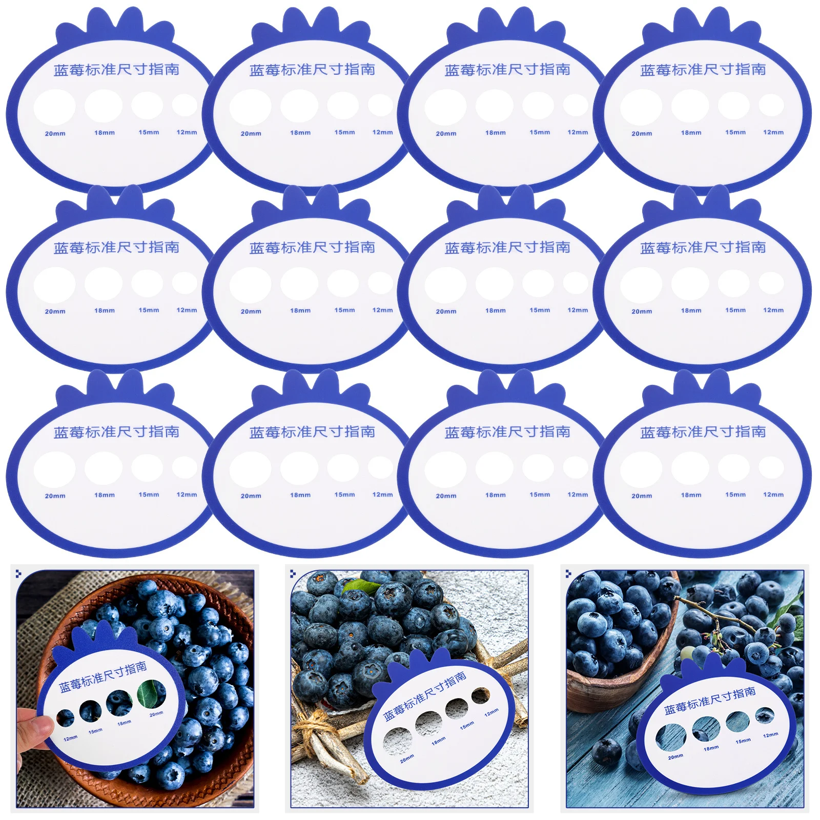 

12Pcs Blueberry Measurement Card Durable Plastic Tool for Farm Market Use Blueberry Board Diameter Gauge Diameter Measuring Card