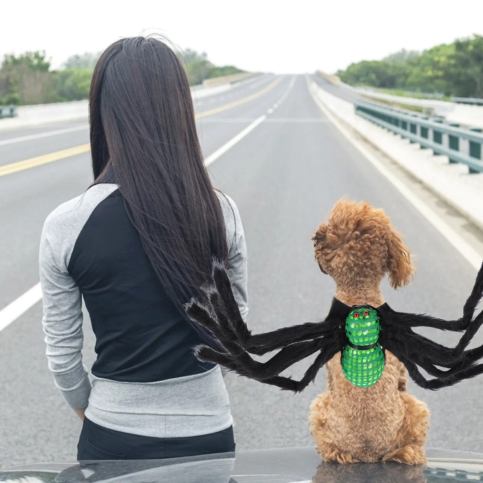 

1Pcs Spider-Shaped Pet Halloween Costume Comfortable Durable Breathable Skin-Friendly Unique Festive Appearance