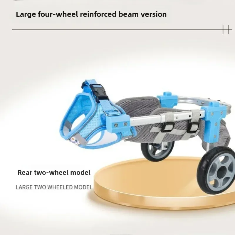 Thumbnail 3 - #12 Ranked Pet Agility Equipment Picks in 2026