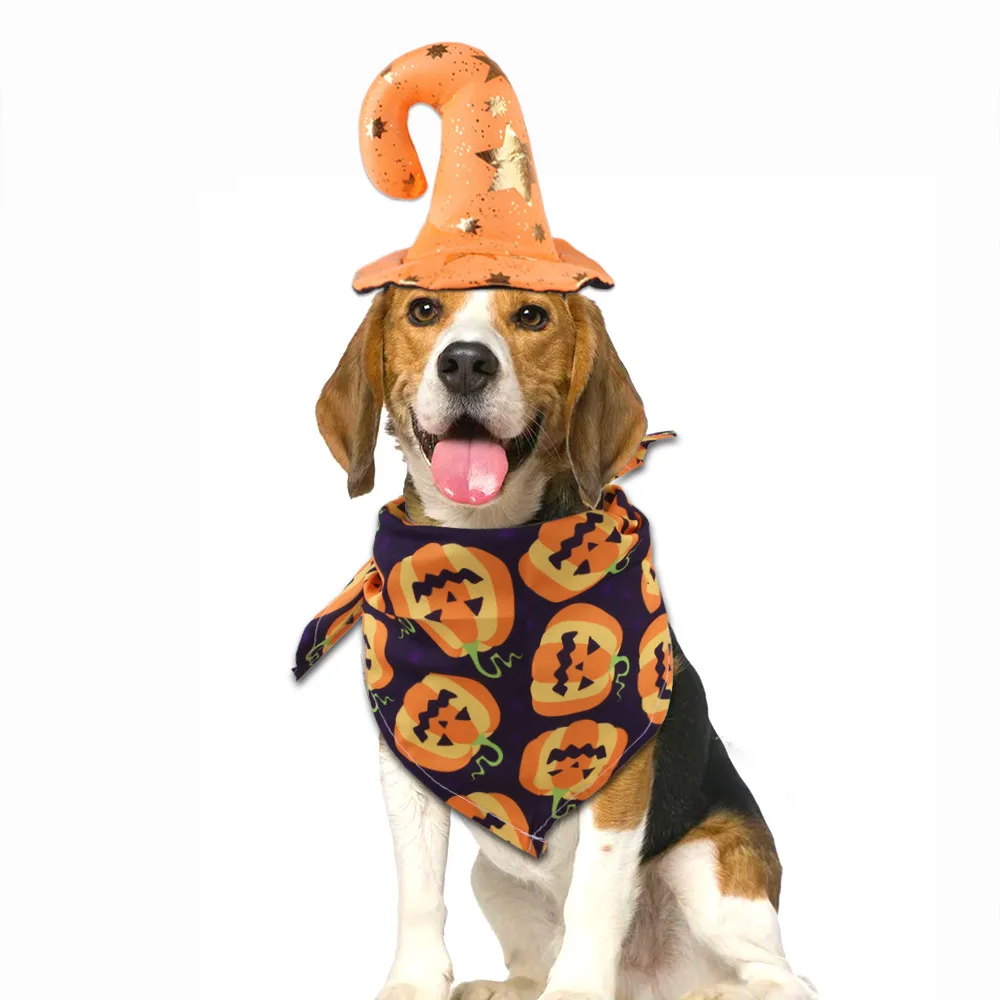 Cross-border new Halloween pet cat toy skull hat pumpkin triangle combination cat and dog dress funny.