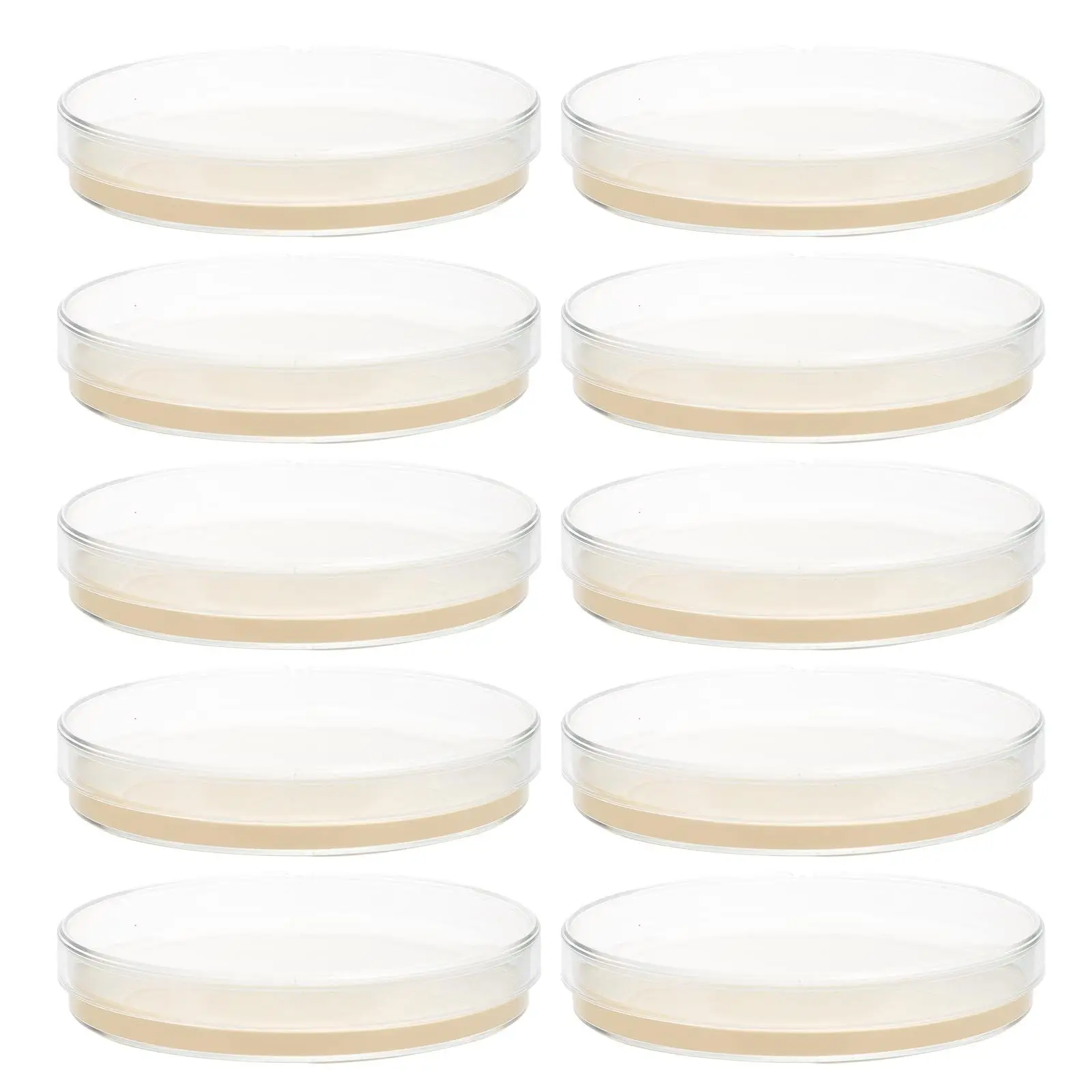 10 Pcs Nutrient Agar Plates 9cm Pre Poured TSA Laboratory Medium Petri Plates Microbiology Culture Isolation Science Fair Kit