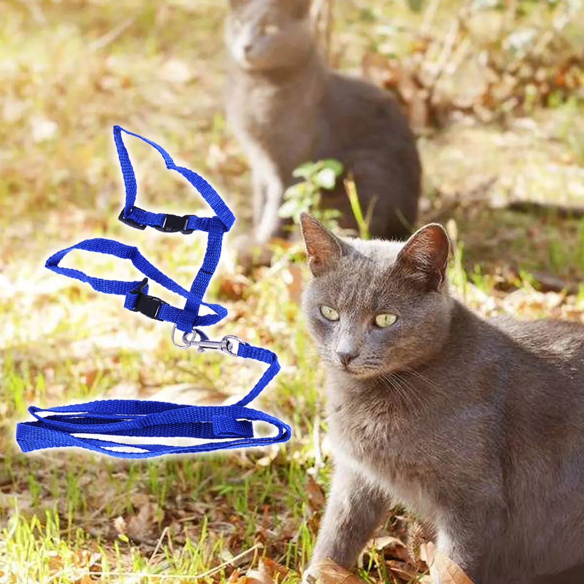 

Harness Adjustable Nylon Pet Traction Rope Collar Leash Kitten Supplies Safe Walking Outdoor Exploration Pet