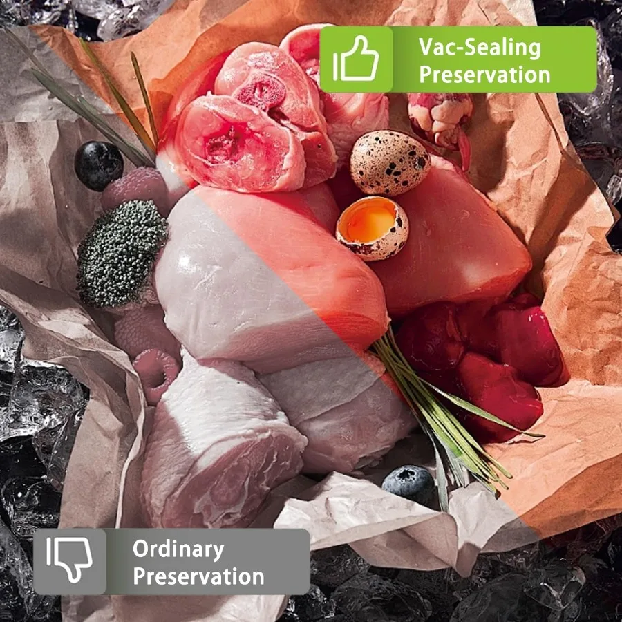 Вакуумный упаковщик Многофункциональный встроенный режущий мешок для хранения Компактная и портативная высокоскоростная технология Globefish