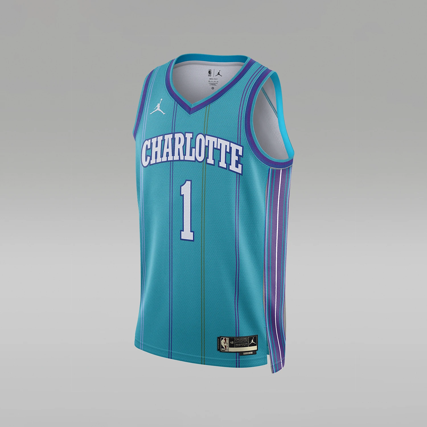 

Мужская майка Nike Genuine Charlotte Hornets DX8610-415