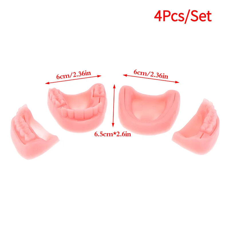 4Pcs/Set Dental Simulation Oral Suture Model Gum Suture Teaching Training Equipment.