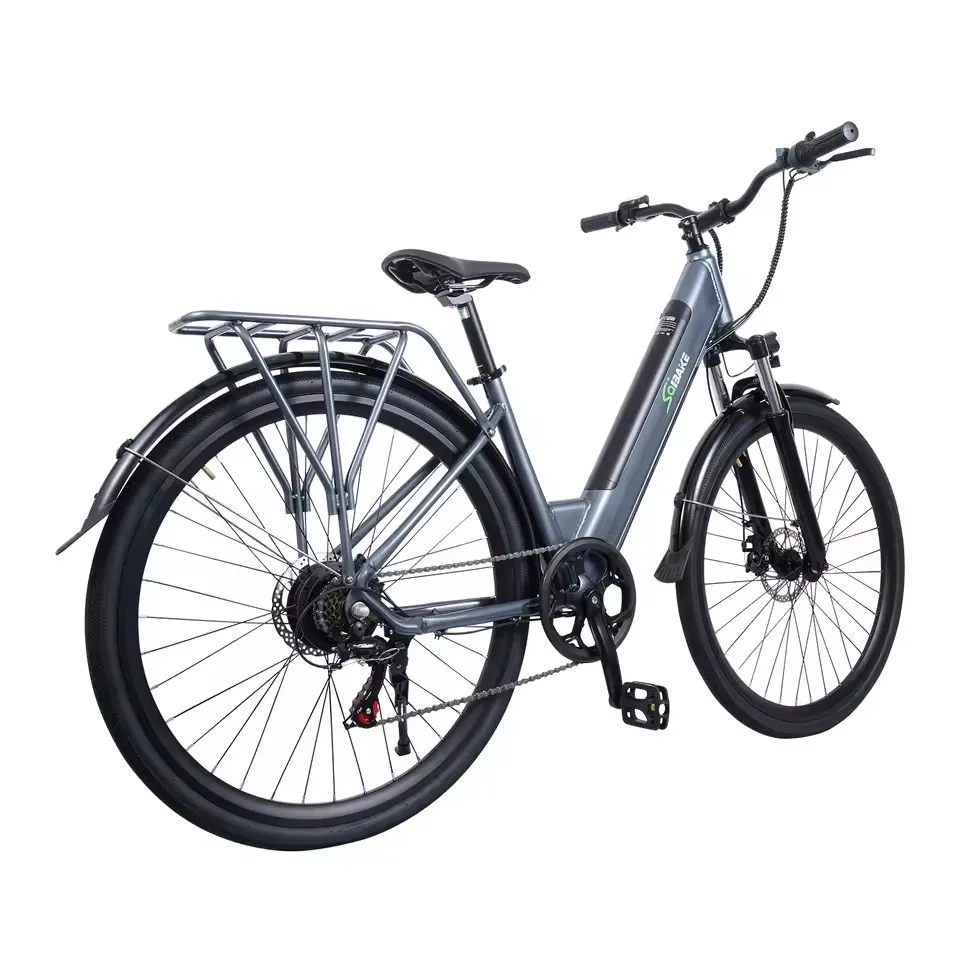 

Removable Battery Electric Bicycles Road City E Bike 250w 25km/h Women Ebike Mountain E-Bikes for Ladies