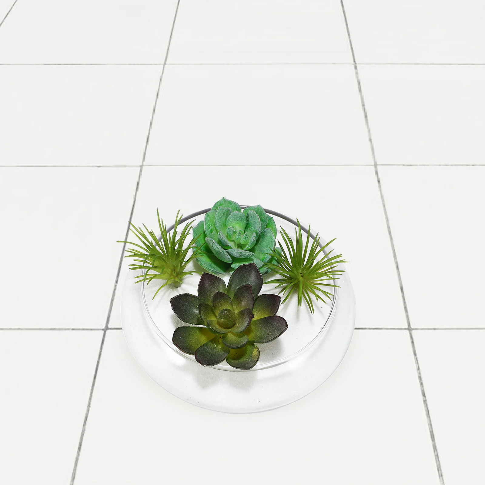 

Daffodil Pot Flower Pots Small Glass Fish Bowl Clear Bowls Succulents Office