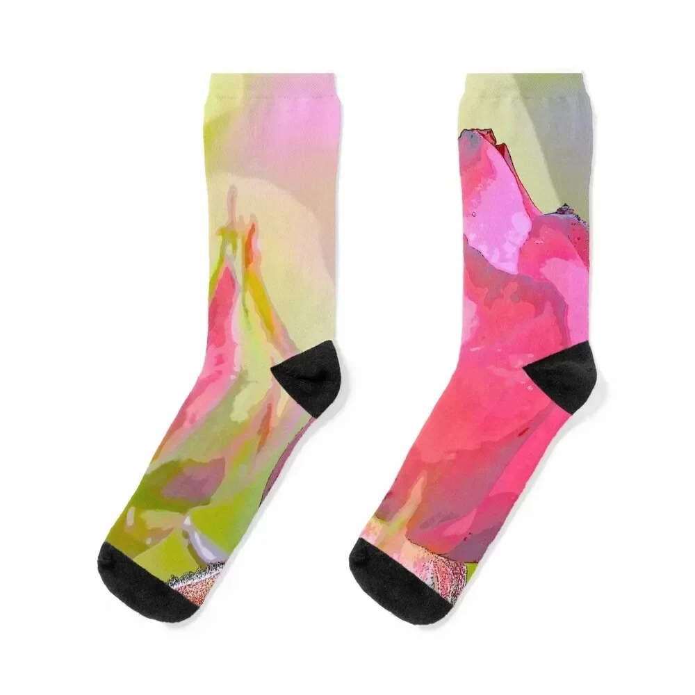 Spring Rose Socks Novelties christmas stocking fashionable Socks For Women Men's