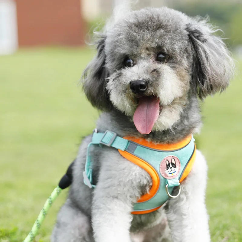 Hundegeschirr- und Leinen-Sets: Verstellbares Hundegeschirr für kleine Hunde, atmungsaktive Leine für Haustiere, zum Spazierengehen, Hundegeschirr, Katzenzubehör – Detail 8