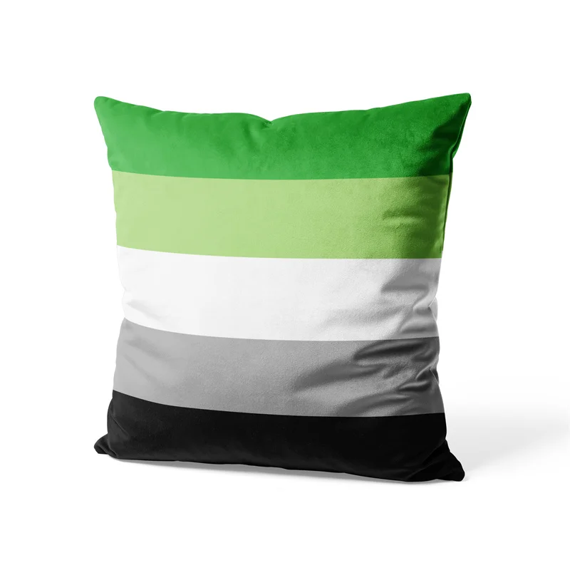 Aertemisi 18'' x 18'' Aromantic Pride Flag Rainbow LGBT Square Throw Pillow Cushion Covers Cases Pillowcases 45cm x 45cm