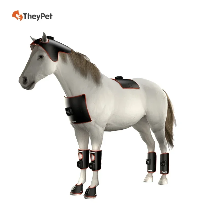 2026/Horse Physiotherapy LED Red Blue Straps Soft Tissue Injury Relief Anti-Inflammatory Detumescence No Side Disinfection Equip