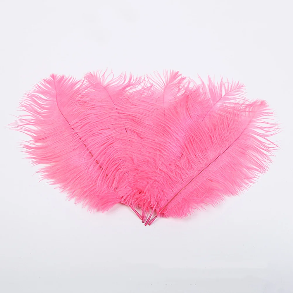 

10Pcs Natural Ostrich Processed Fumigation for Wedding Party Costumes Home Decor Craft Supplies Elegant Centerpieces