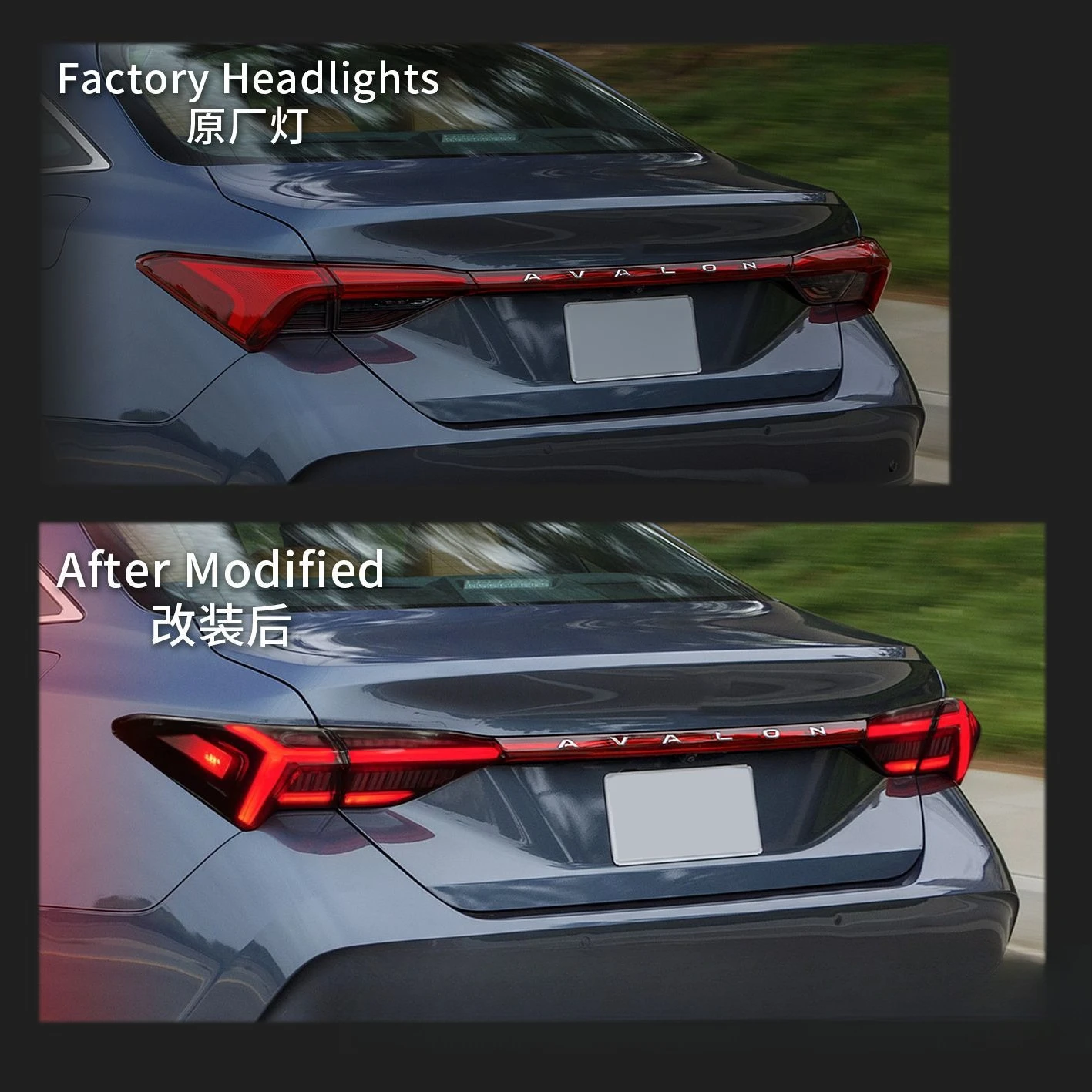 Asian Dragon Tail Light Fish Bone LED Flow Turn Signal