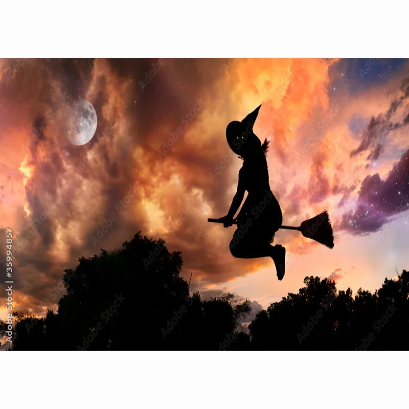 Nitree Art Cloth Castle Broom Church Photography Background Heaven Magic School Photo Studio Backdrops Photocall  HL-01