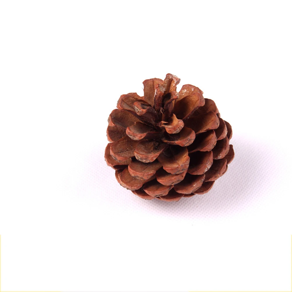 

Multicolor Photography Backdrops Non Glare Lightweight Easy Carry Stain Resistant Backgrounds for Studio Pictures Videos Home