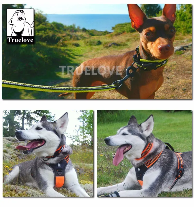 Truelove Adjustable Mesh Padded Pet Collar Bright Reflective Nylon Dog Collar Durable Heavy Duty for All Breed Weather TLC5011