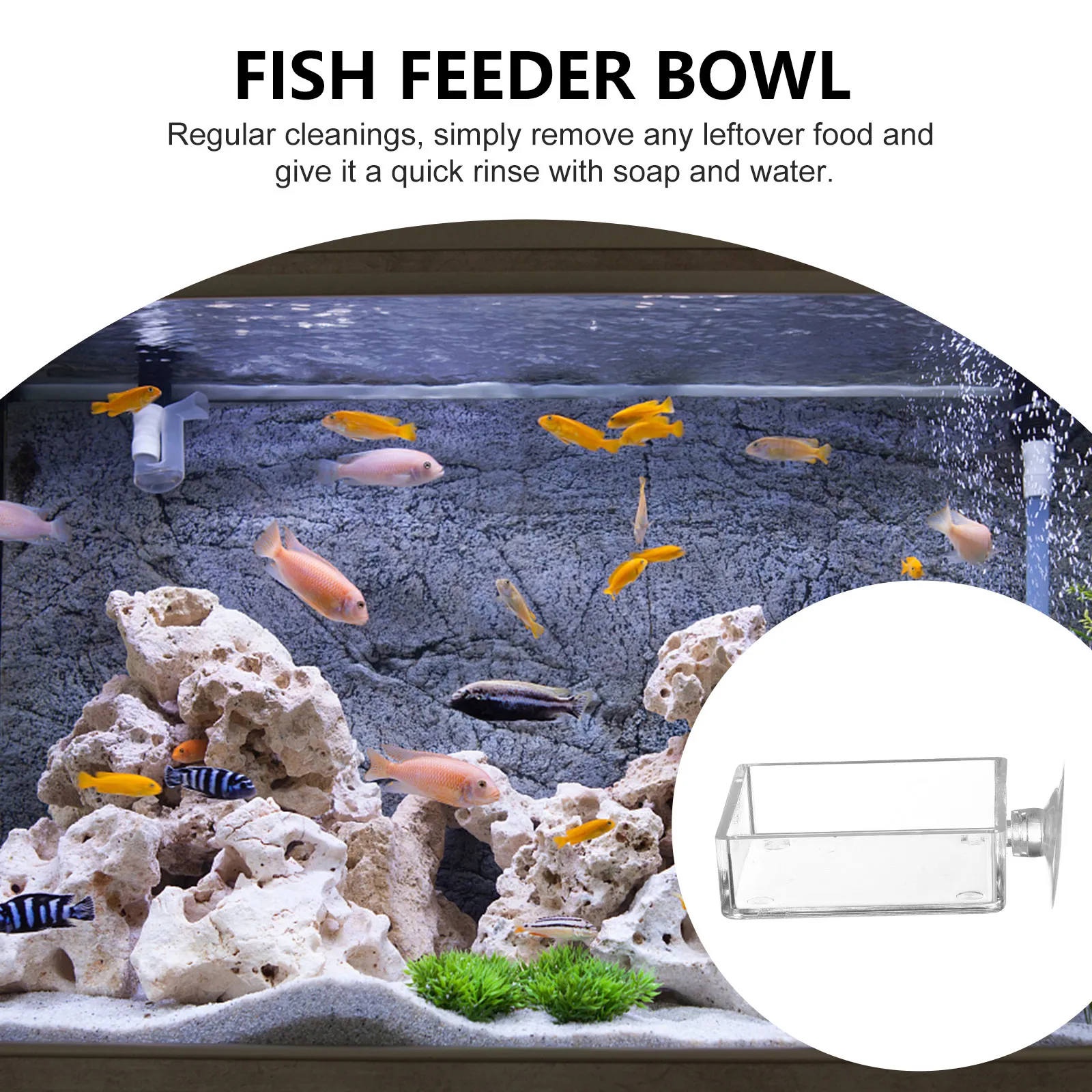 4Pcs Transparent Acrylic Feeder Bowl Set for Shrimp Tank Fish Aquarium Feeding Tray with Heavy Duty Suction Cup Easy to Clean
