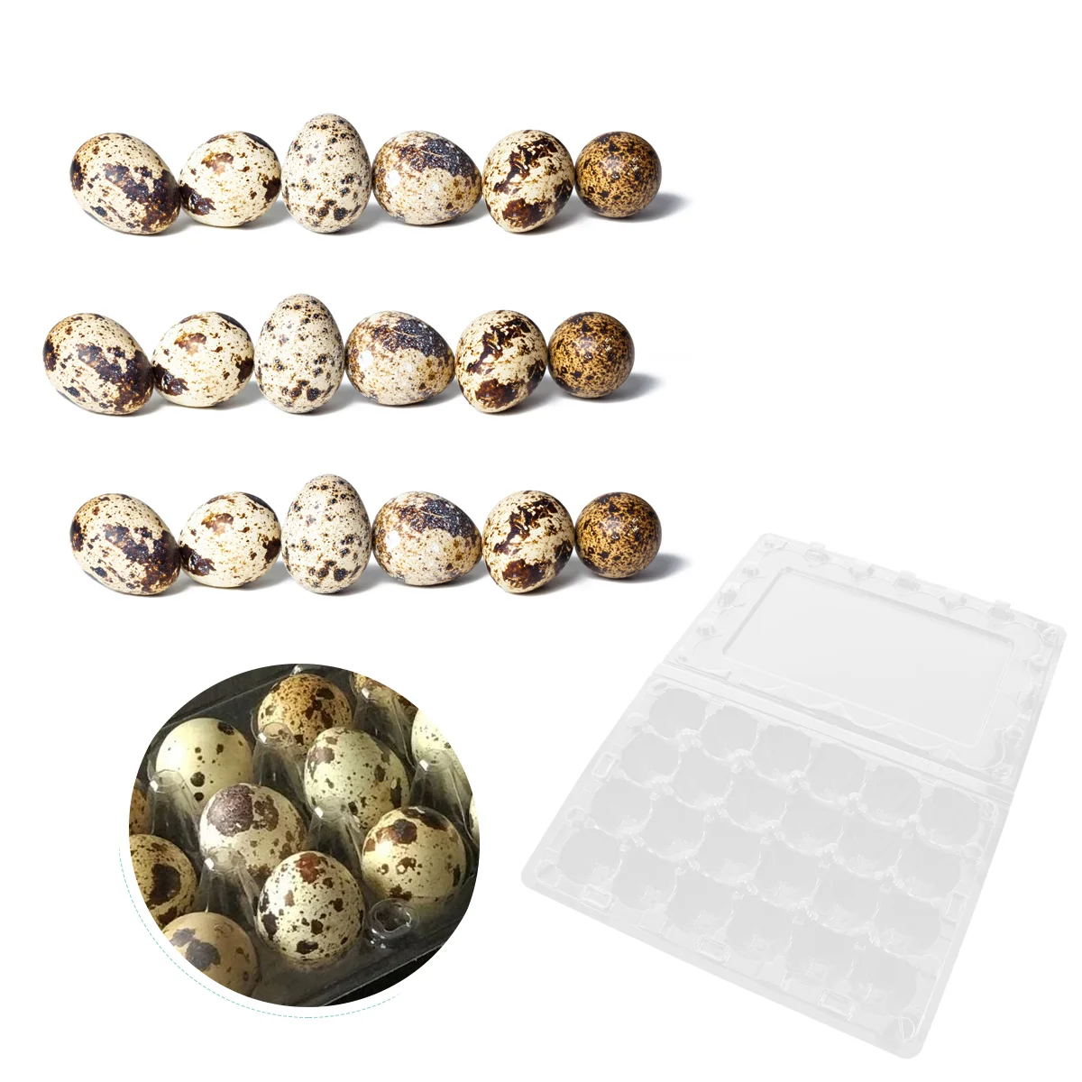 50/12/24Pcs Plastic Quail Egg Tray Flat Quail Egg Storage Box Egg Carrier Packaging Case Household Quail Egg Protective Holder