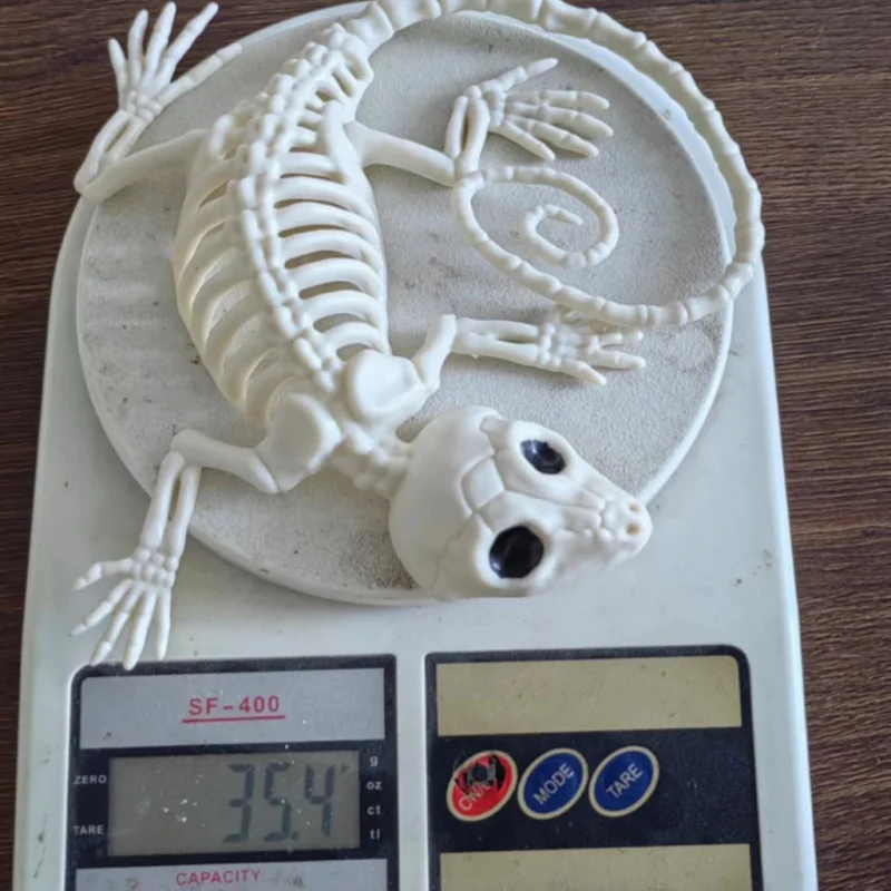 Halloween Horror Decoration Animal Lifelike Skeleton Model Gecko Decoration Hallowmas Prop