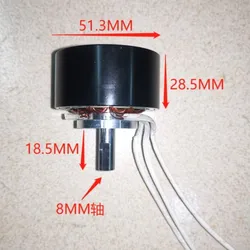 Generator Micro Brushless Three-phase Permanent Magnet Brushless Dual Purpose Motor 60W100w Water Wheel Wind Power 12v24v