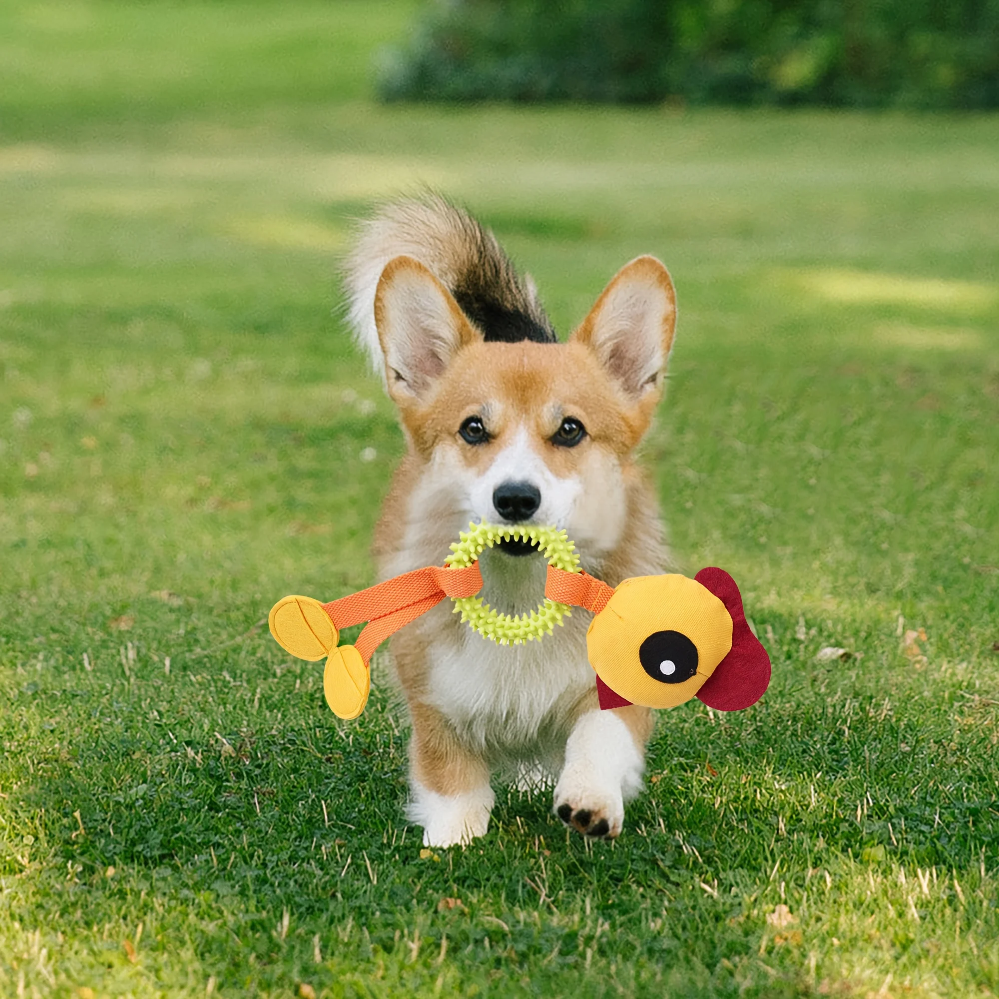 ألعاب الحيوانات الأليفة، طحن أسنان الكلاب، إخفاء الطعام، ألعاب الاستنشاق، ألعاب منزلية للترفيه والكلاب الأليفة، مستلزمات الحيوانات الأليفة