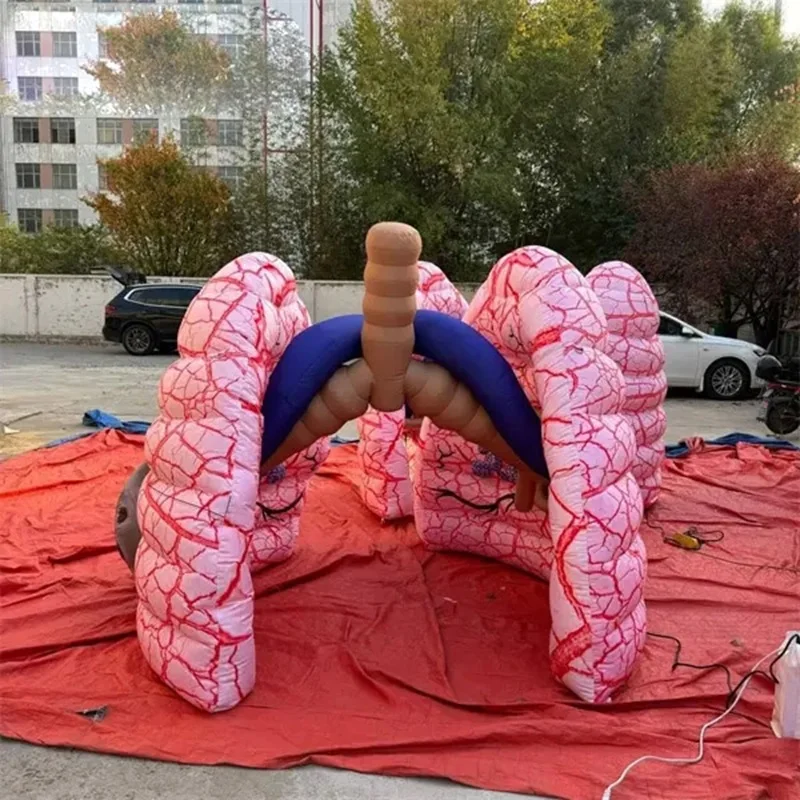 Giant inflatable lung for advertising decoration Display Education inflatable medical lungs with lung tube model