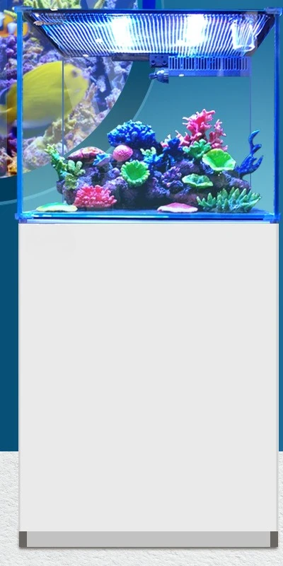 Fish tank medium seawater tank large living room aquarium ultra-white glass coral tank bottom filter