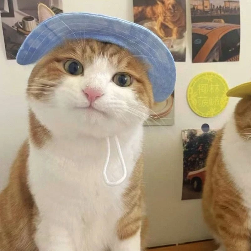 

Новая шляпа для собаки, милая летняя шляпа от солнца с открытыми ушами кота, шляпа от солнца, плюшевый мишка, корги, солнцезащитная шляпа-ведро, милый стиль для домашних животных