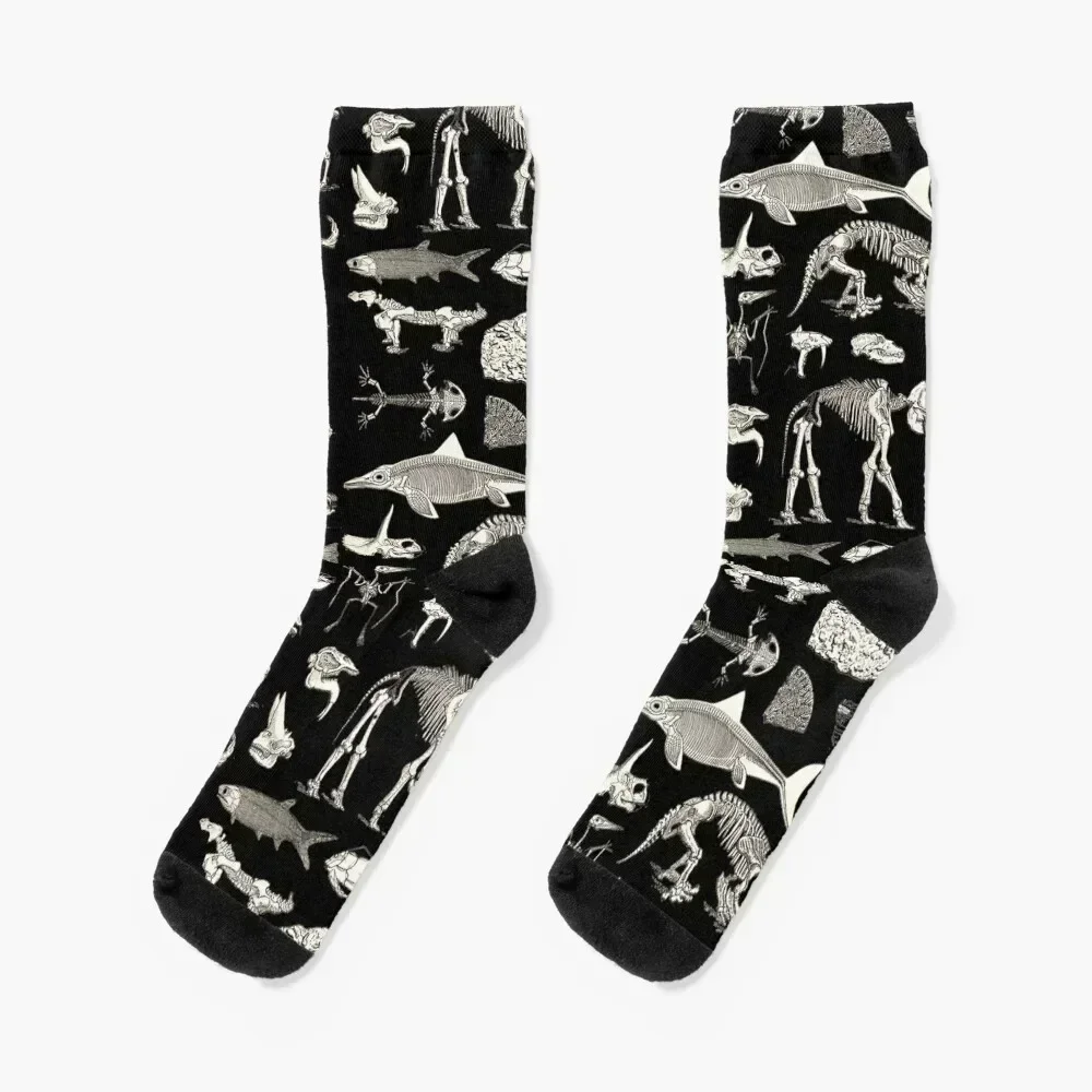 

Paleontology Illustration Socks kawaii Crossfit football Argentina Men Socks Women's