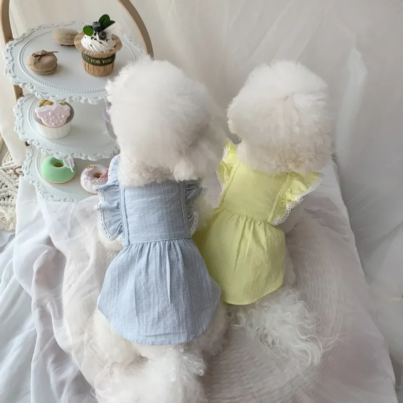 Teacup pomeranian (цена в чите) купить от 306,00 руб. Товары для животных на 1rub.ru