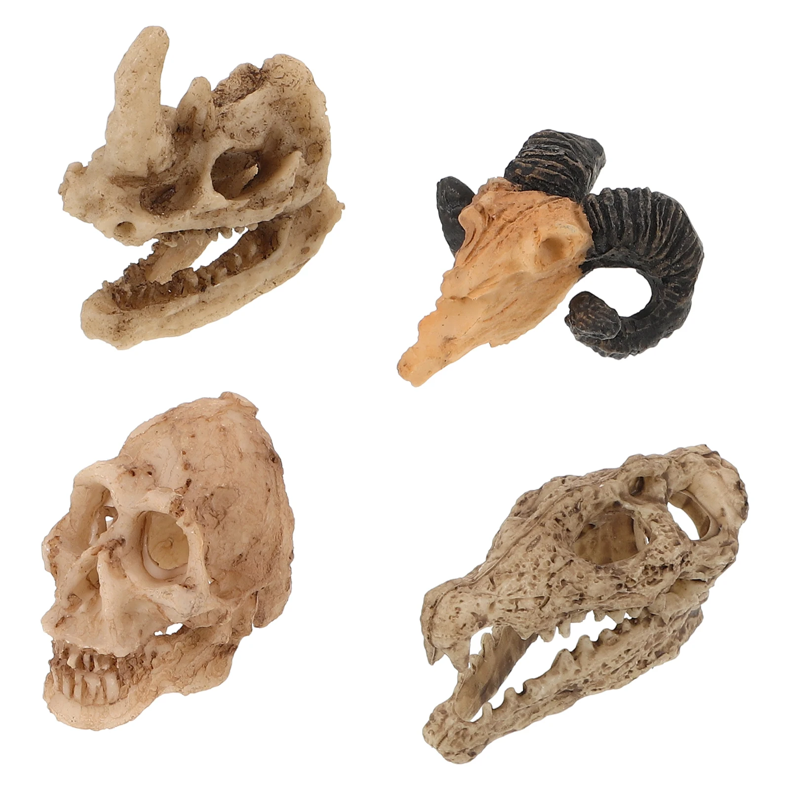 

4pcs Skull naments Reptile Tank Hide Snake Habitat Cave Frog Terrarium Accessories Fish Decorations Resin Hideout Practical