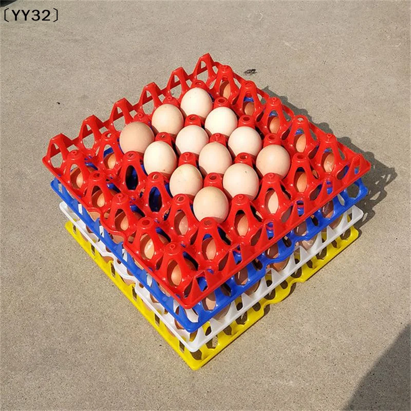 5pcs HEAVY DUTY Regular Reusable Plastic Egg Tray Holds 30 Eggs For Incubator/Egg Transport〔YY32〕