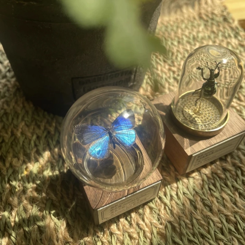 Mini bola de cristal de muestra de serie de mariposas de nogal clásico Original, colección de decoración de escritorio hecha a mano, regalo creativo para Festival