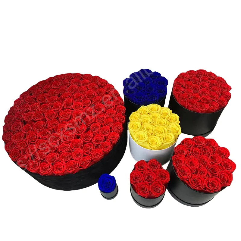 وردة محفوظة أبدية في صندوق ، حياة طويلة الأمد ، طبيعية حقيقية ، زهرة خالدة للأبد ، هدية عيد الأم ، بالجملة