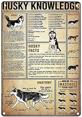 12x8 Inches Metal Tin Signs Vintage Metal Sign Bathroom Husky Knowledge Bar Room Accessories sign