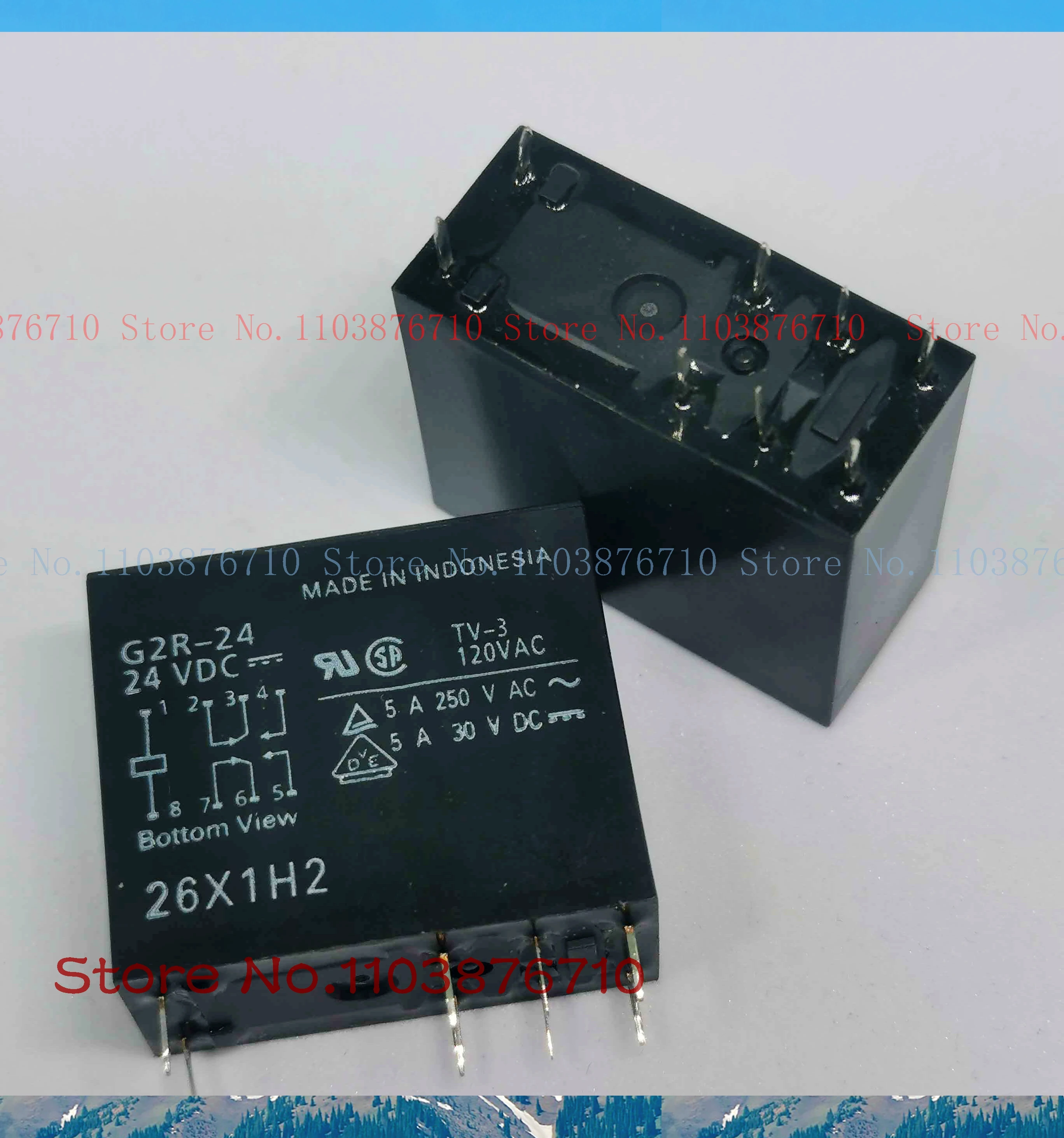 G2R-24-12VDC/24VDC/110VDC