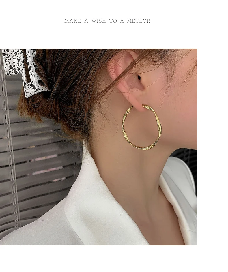 lingzhiwu-Circle Earrings for Women, Anti-Allergy, Elegant, French Influencer, Ear Decoration, New Arrival, 2024 Fashion