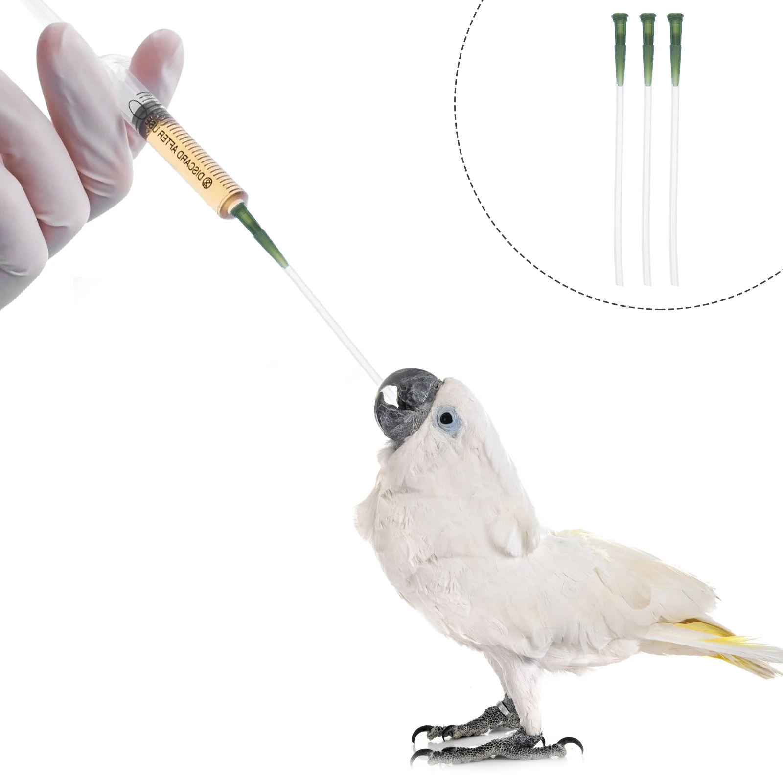 

3pcs Young Birds Tool Food Grade Hose High Tensile Strength Soft Odorless Safe Easy Use Pet Accessories Parrot Feeding Hose