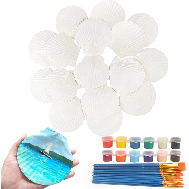 

16 PCS Scallop Shells Seashell 4" To 5" Large Scallop Shells With Brushes And Acrylic Paint Strips For Crafts Decor New
