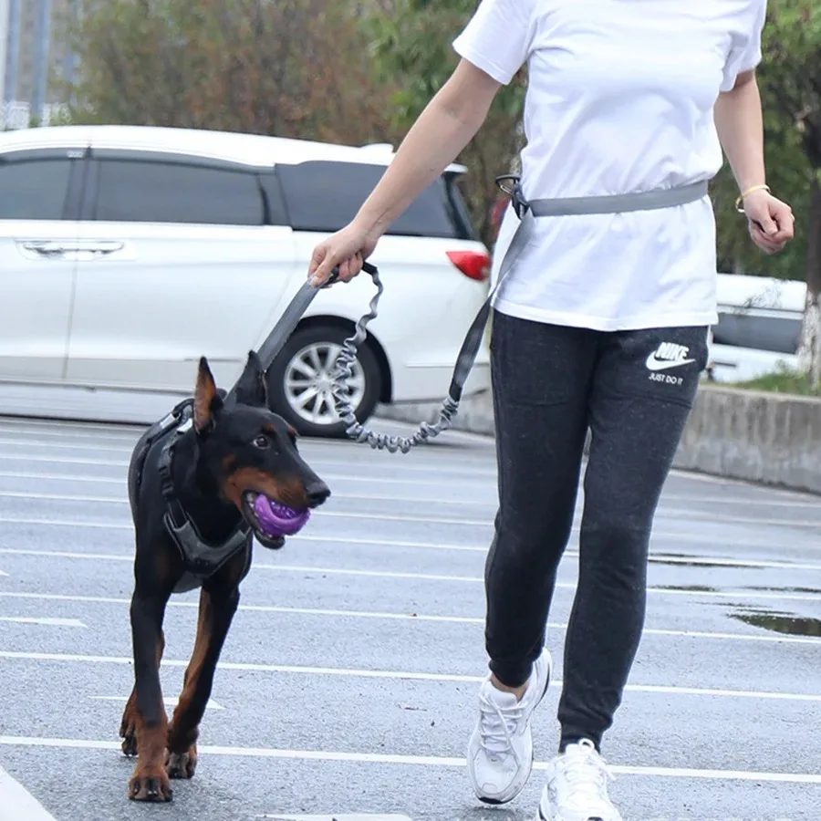 Hand Free Dog Leash for Pet Walking Running Jogging Adjustable Dog leash Waist Belt Chest Strap Traction Rope Dog Accessories