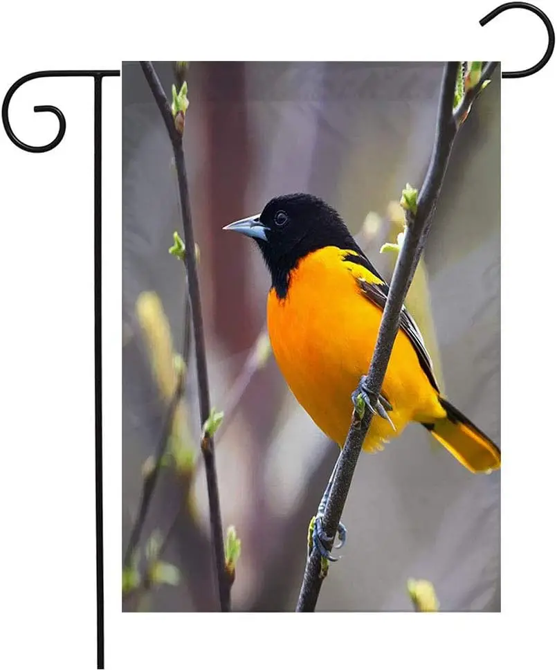 Garden Flag Welcome Flag Colorful Bird Baltimore Oriole Perched On Budding Tree Black Animals Wildlife Nature Orange Spring 12x1