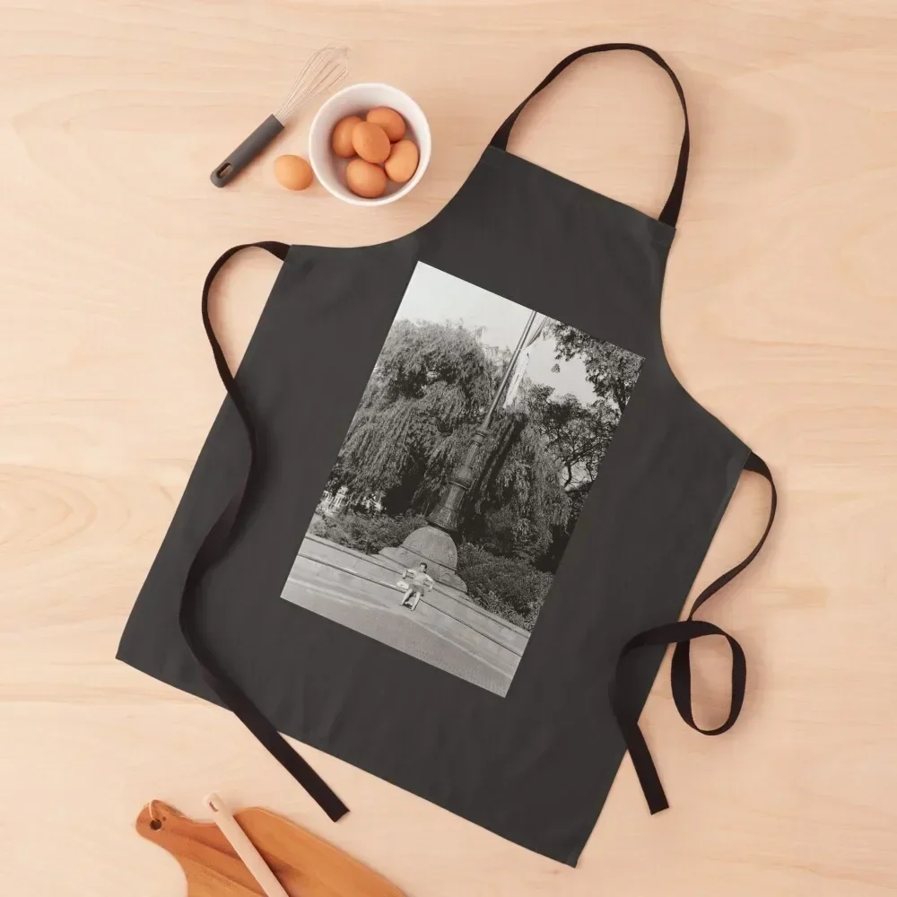 

Summer in Central Park Apron Custom men's barbecue Apron